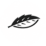 EnviroServ, former Rockwood Private Equity investment South Africa